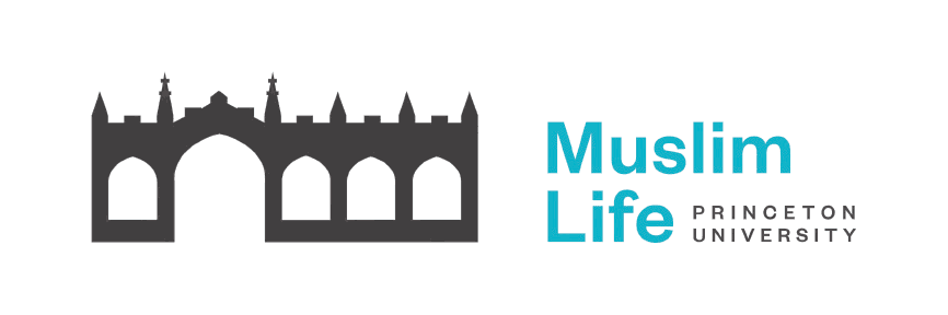 MLP Logo